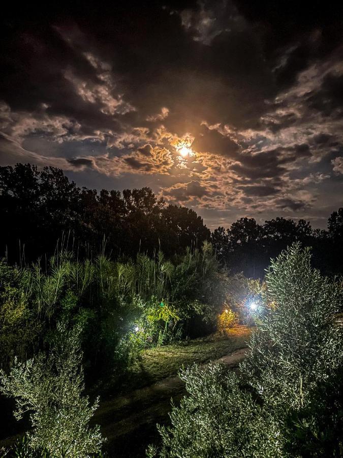 Ferienwohnung Casa Nita Ulcinj Exterior foto